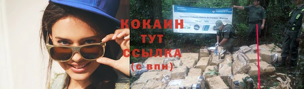 первитин Богданович