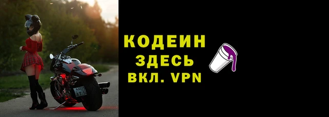 прущие грибы Саяногорск