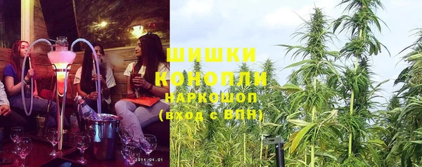 первитин Богданович