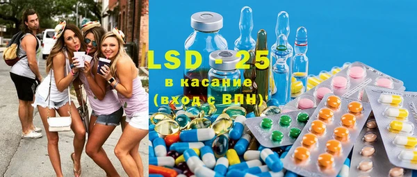 первитин Богданович